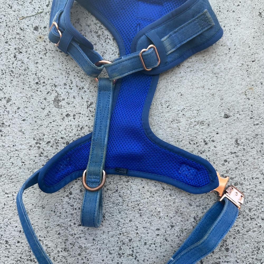 Sassy Woof Brand Blue Dog Pet Harness - Picture 3 of 3